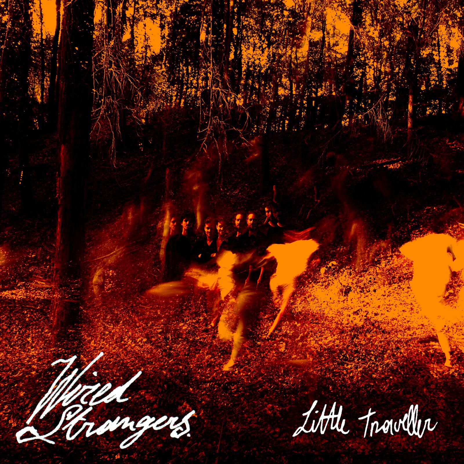 Wired Strangers